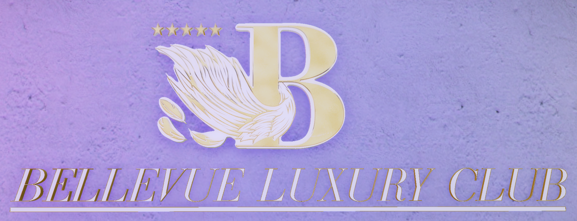 Bot Discord Bellevue Club — gestion boîte de nuit GTAV RP