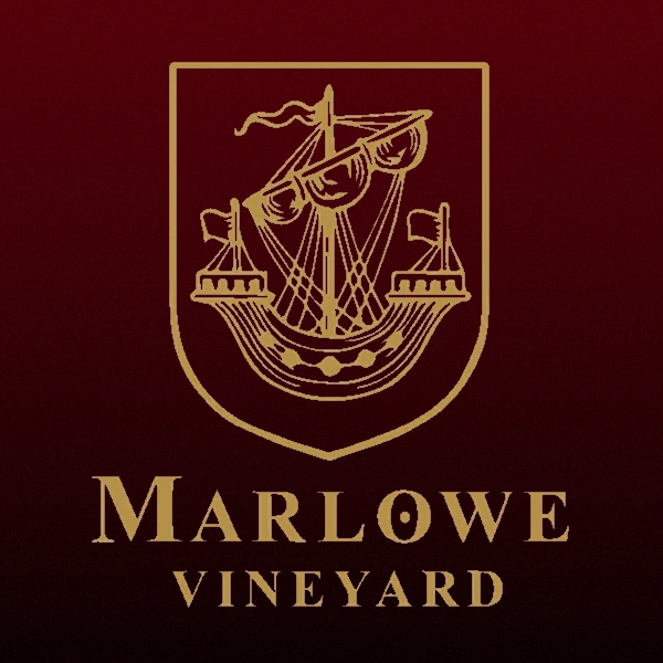 Projet bot Discord Vignoble Marlowe